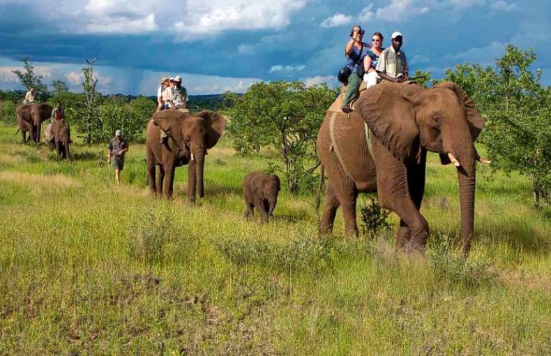 Jungle Treasure Resort in Jim Corbett